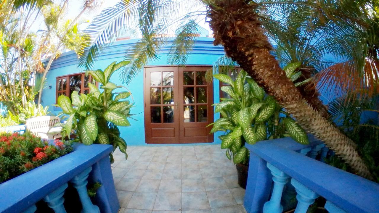 De Cuba Bed & Breakfast Noord Exterior foto